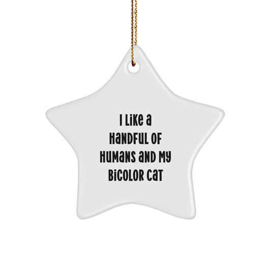 Bicolor Cat Gifts, Funny Quote Star Ornament, Gifts from Men to Friends for Christmas, 'I Like A Handful Of Humans And My Bicolor Cat', Unique Star Shaped Decor - Image 1