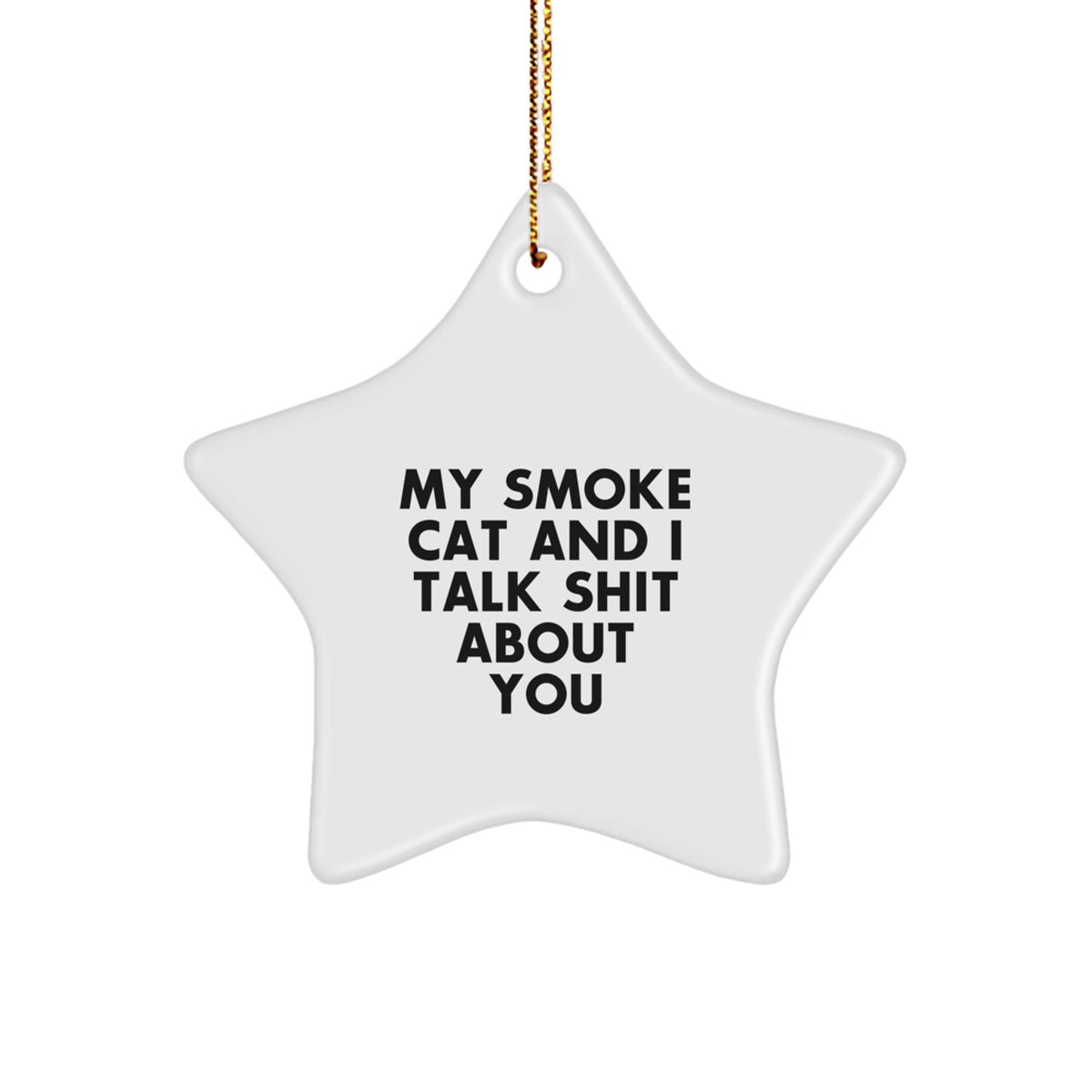 Funny Smoke Cat Gifts for Men, Women, Friends, Coworkers, Family - Christmas Unique Presents with Star Ornament, 'My Smoke Cat And I Talk Shit About You' - Image 1