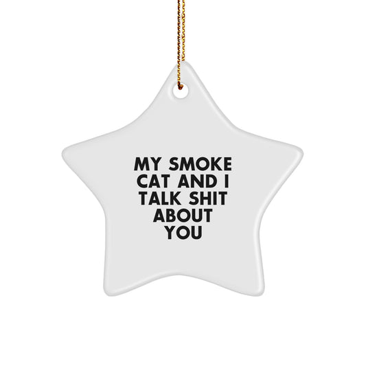 Funny Smoke Cat Gifts for Men, Women, Friends, Coworkers, Family - Christmas Unique Presents with Star Ornament, 'My Smoke Cat And I Talk Shit About You' - Image 1
