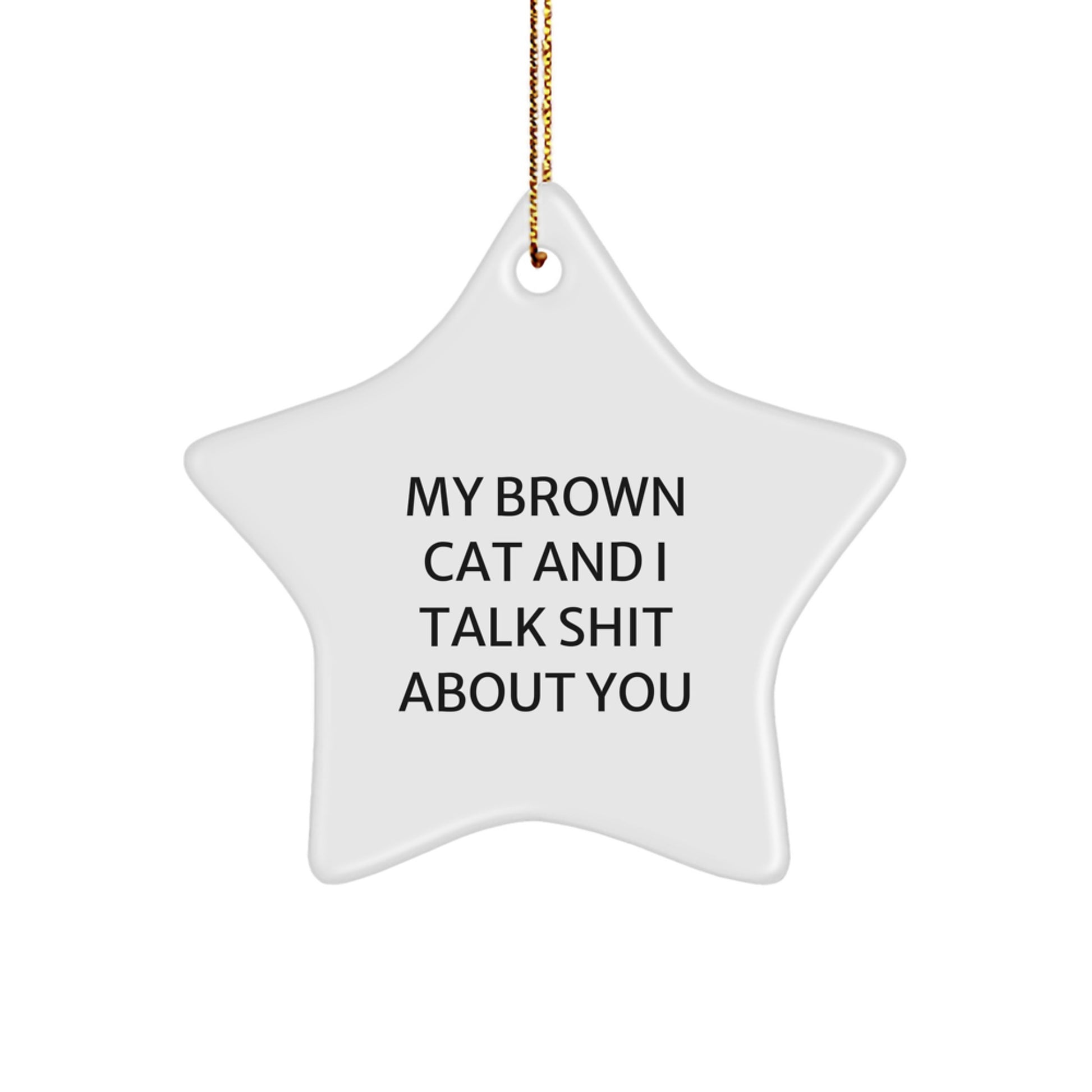Funny Brown Cat Christmas Unique Gifts from Friends for Home Decor, Star Ornament My Brown Cat And I Talk Shit About You - Image 1