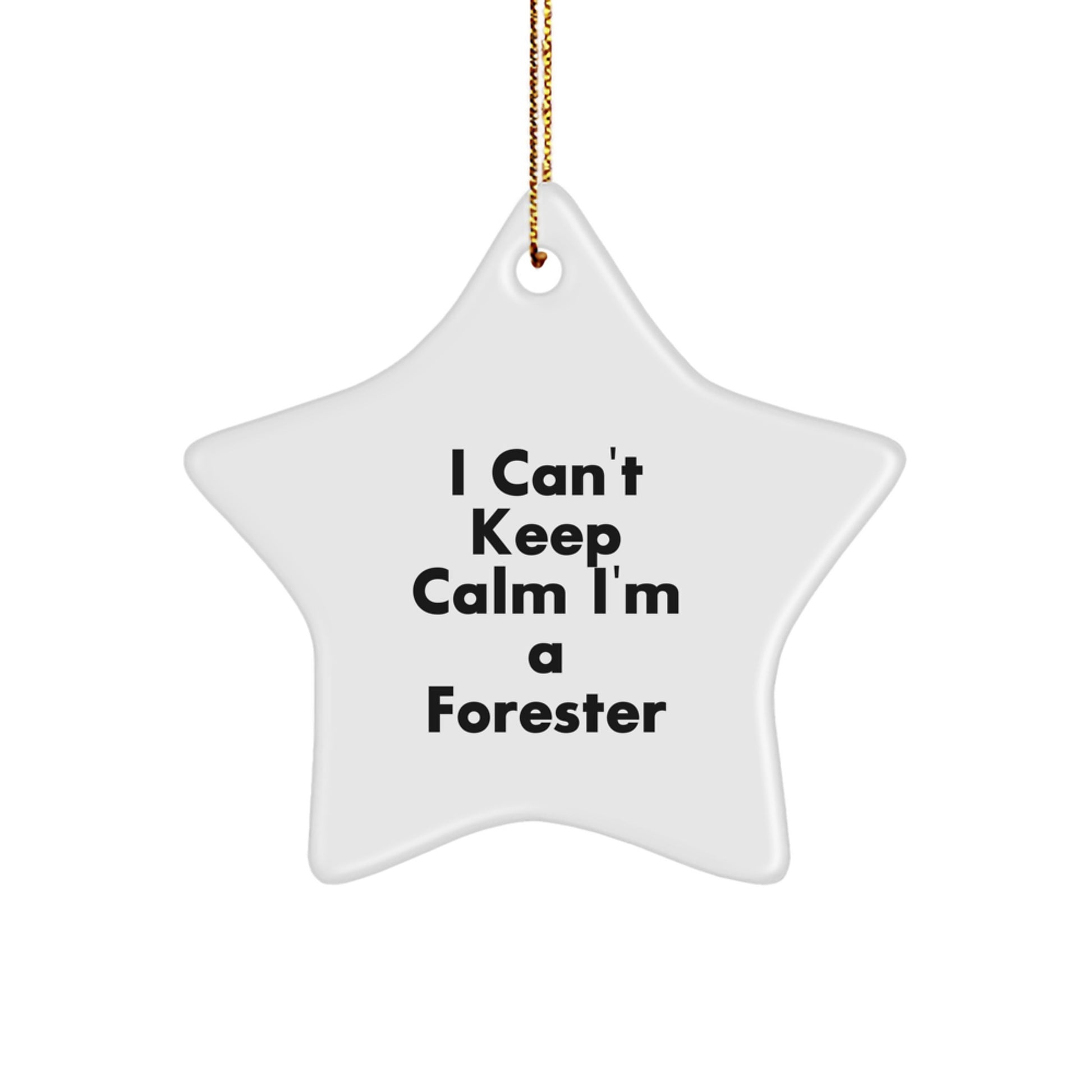 Funny Forester Gifts from Friends and Family, I Can't Keep Calm I'm A Forester Star Ornament for Christmas Unique Gifts - Image 1
