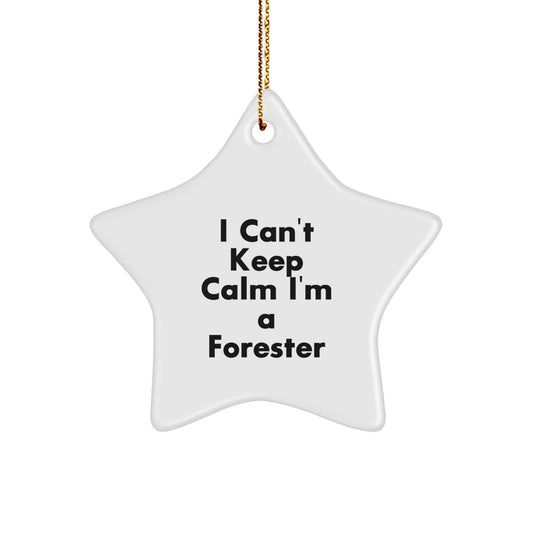 Funny Forester Gifts from Friends and Family, I Can't Keep Calm I'm A Forester Star Ornament for Christmas Unique Gifts - Image 1