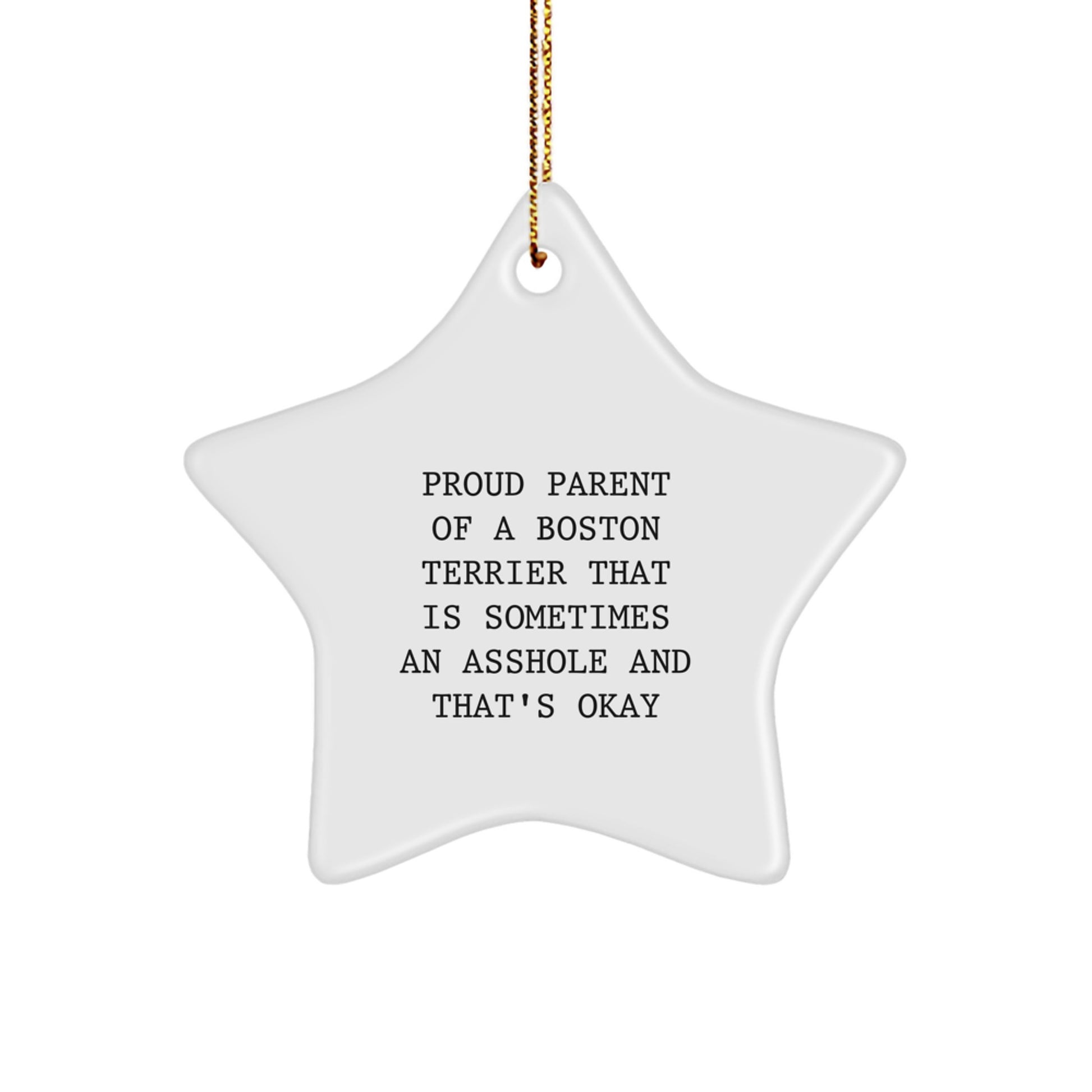 Funny Boston Terrier Dog Mom Gifts from Friends, Family, or Coworkers for Boston Terrier Dog Lovers, Star Ornament for Christmas Unique Decoration - Image 1