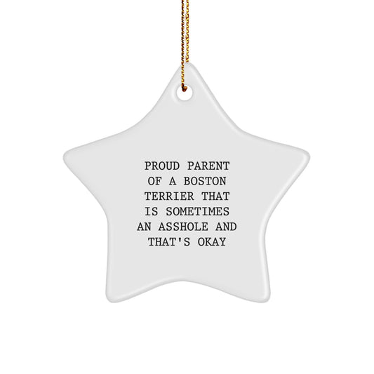 Funny Boston Terrier Dog Mom Gifts from Friends, Family, or Coworkers for Boston Terrier Dog Lovers, Star Ornament for Christmas Unique Decoration - Image 1