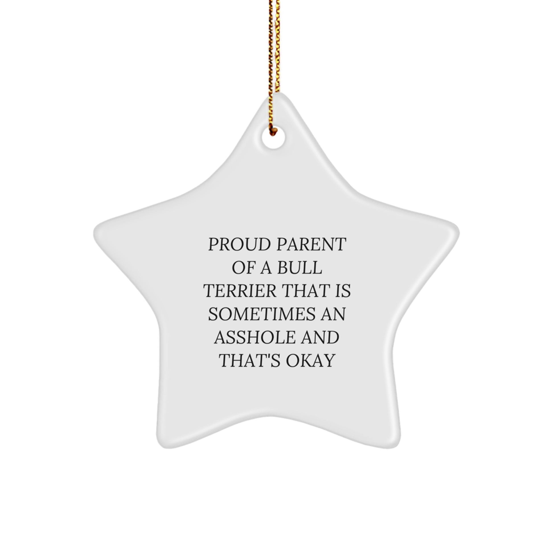 Funny Bull Terrier Dog Christmas Unique Gifts from Men to Family Members - Star Ornament for Proud Parents of Bull Terriers - Image 1