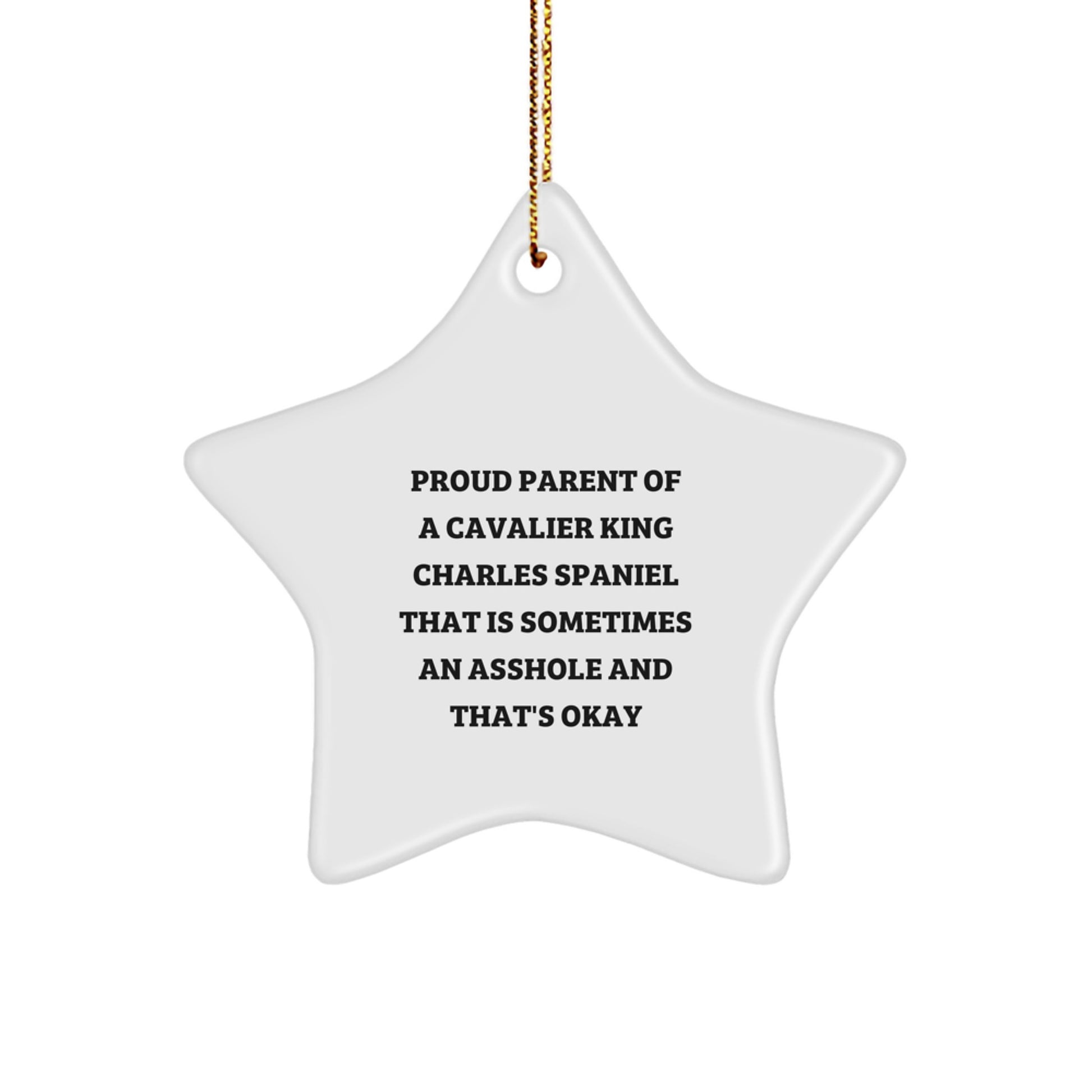 Funny Cavalier King Charles Spaniel Dog Christmas Unique Gifts, Star Ornament for Friends, Proud Parent of a CKCS That's Okay, Gifts from Family - Image 1