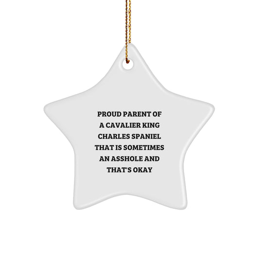 Funny Cavalier King Charles Spaniel Dog Christmas Unique Gifts, Star Ornament for Friends, Proud Parent of a CKCS That's Okay, Gifts from Family - Image 1