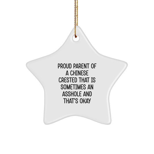 Chinese Crested Dog Star Ornament, Funny Quote Gifts for Men, Women, Friends, Family, Christmas Unique Gifts from Men to Chinese Crested Dog Owners, Chinese Crested Dog Lovers Star Decoration - Image 1