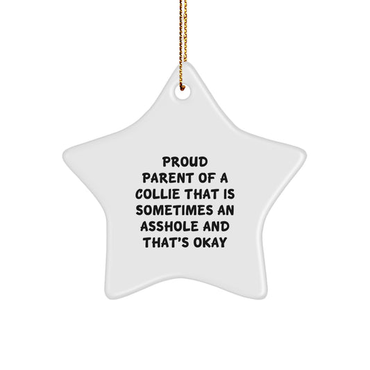 Christmas Gift for Her Collie Star Ornament Present - Image 1
