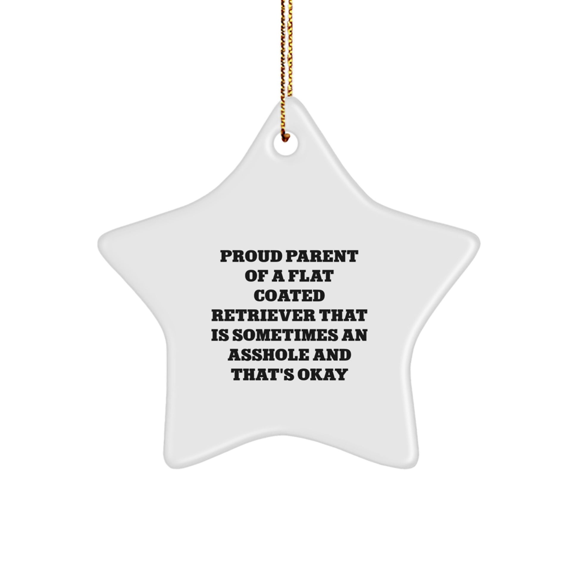 Funny Flat Coated Retriever Dog Star Ornament Gifts from Men, Women, Friends, or Family - Proud Parent Quote Christmas Unique Decorations - Image 1