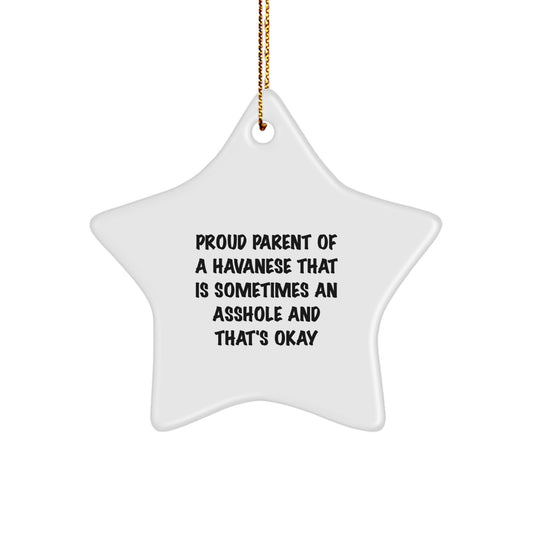 Funny Havanese Dog Lover Gifts from Men to Friends with Star Ornament for Christmas - Image 1