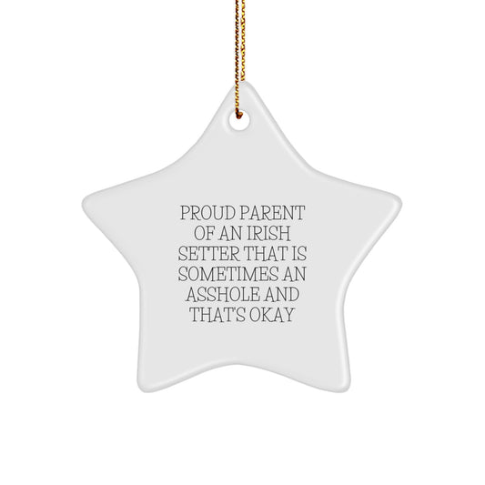 Funny Irish Setter Dog Lover Gifts from Family for Christmas Unique Star Ornament, Proud Parent Quote, White Star Shaped - Image 1