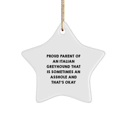 Funny Italian Greyhound Dog Mom Gifts from Family - Italian Greyhound Dog Christmas Unique Star Ornament, Proud Parent Quote - Image 1
