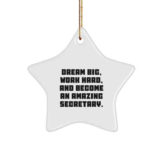 Dream Big Funny Secretary Star Ornament, Gifts from Women to Secretary for Christmas Unique Office Decor - Star Shaped White - Image 1