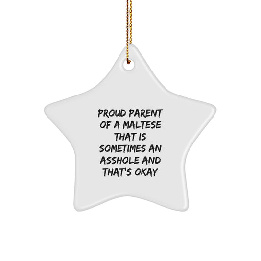 Funny Maltese Dog Star Ornaments Gifts for Proud Parents from Family Friends - Image 1