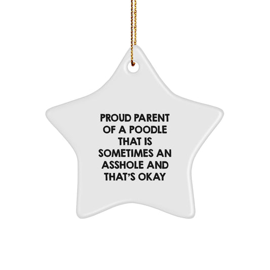 Poodle Parent Keepsake Christmas Ornament for Him Gift - Image 1