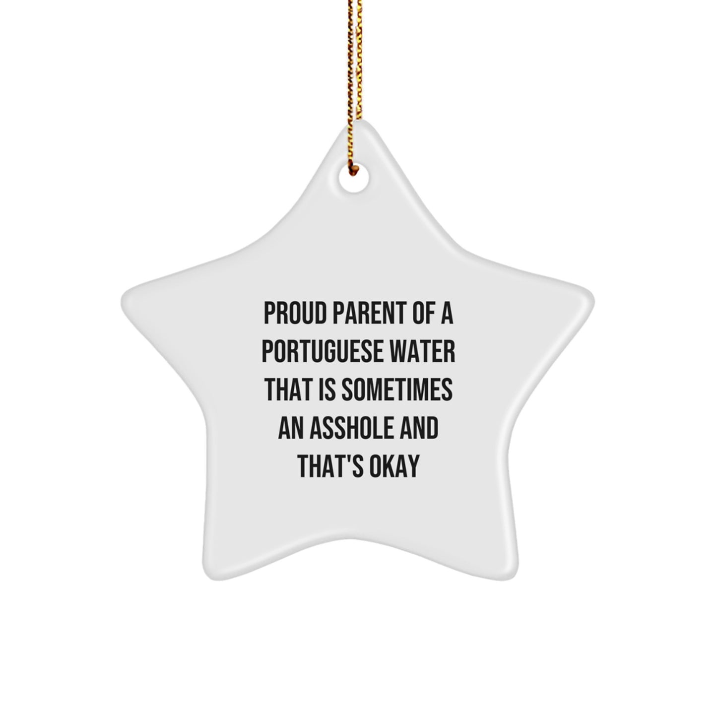Funny Portuguese Water Dog Gifts from Mom Unique Star Ornament for Christmas Decorations - Image 1
