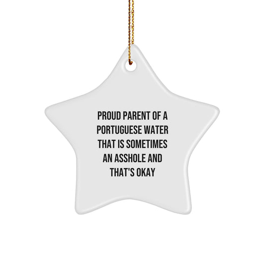 Funny Portuguese Water Dog Gifts from Mom Unique Star Ornament for Christmas Decorations - Image 1