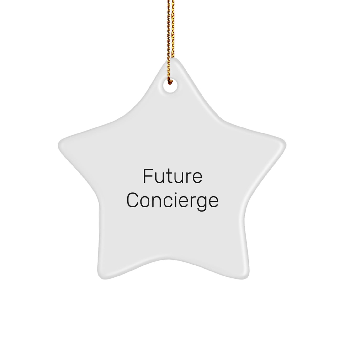 Funny Future Concierge Gifts from Men to Family Star Ornament for Christmas Unique Gifts - Image 1