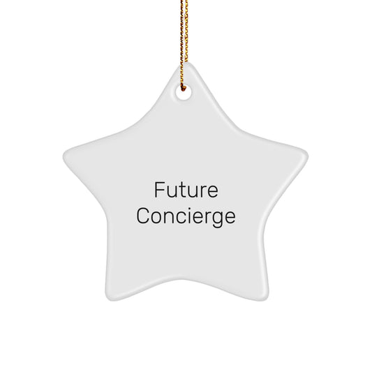 Funny Future Concierge Gifts from Men to Family Star Ornament for Christmas Unique Gifts - Image 1