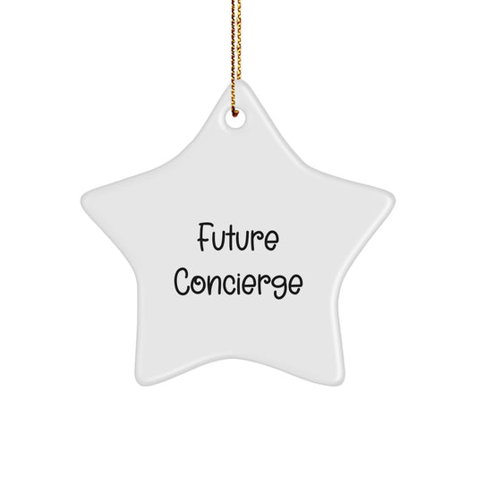 Funny Future Concierge Gifts from Men for Christmas Unique Concierge Star Ornament, 'Future Concierge' Quote on Star Shaped Decorative Star Ornament for Home Office Desk Decor Gifts - Image 1