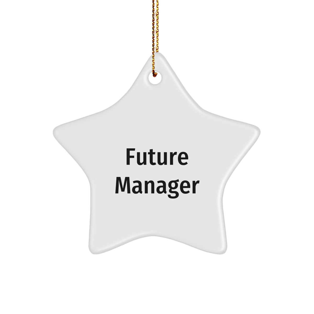 Funny Manager Star Ornament, Gifts from Friends, Perfect Unique Christmas Unique Gifts for Future Manager Men, Star Shaped Decoration - Image 1