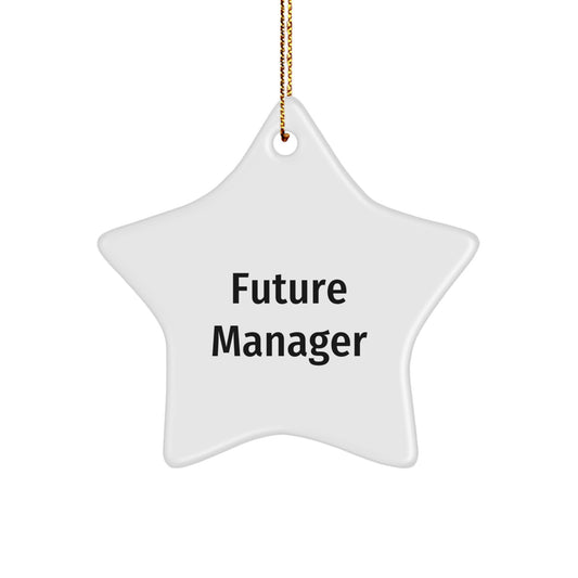 Funny Manager Star Ornament, Gifts from Friends, Perfect Unique Christmas Unique Gifts for Future Manager Men, Star Shaped Decoration - Image 1