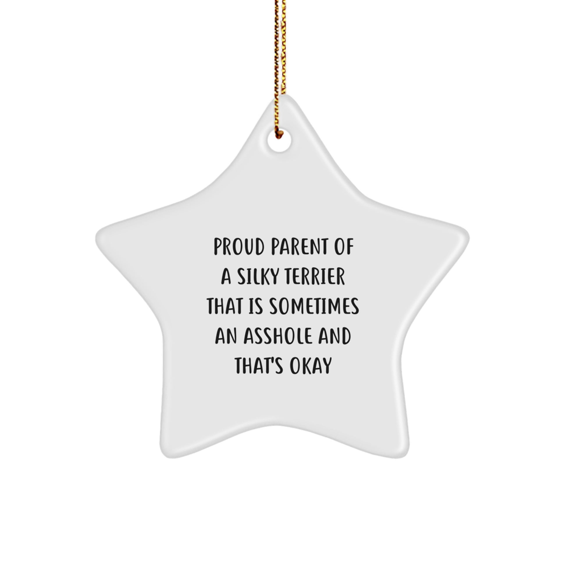 Funny Silky Terrier Dog Lover Gifts, Star Ornament for Christmas Unique Presents from Friends to Family, Proud Parent Quote - Image 1