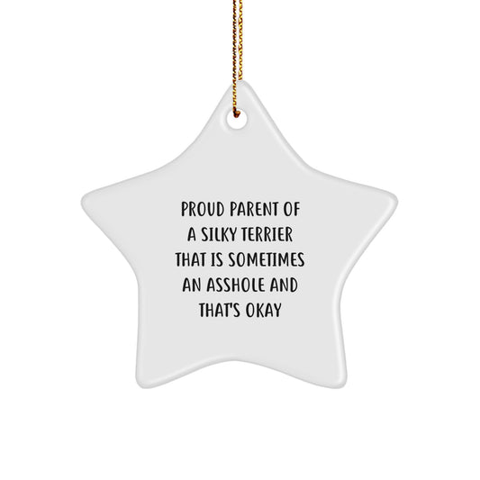 Funny Silky Terrier Dog Lover Gifts, Star Ornament for Christmas Unique Presents from Friends to Family, Proud Parent Quote - Image 1