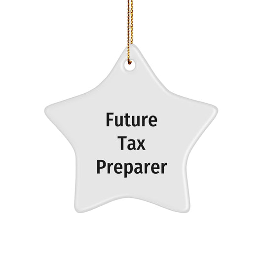 Funny Tax Preparer Gifts from Friends or Family, 'You're the Star' Star Ornament, Unique Christmas Decorations for Tax Preparer - Image 1