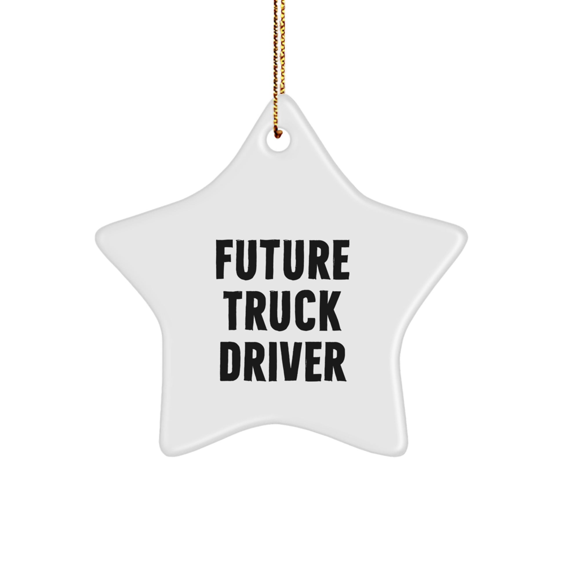 Gifts from Family to Future Truck Driver - Funny Star Ornament for Christmas Unique Gifts - Image 1