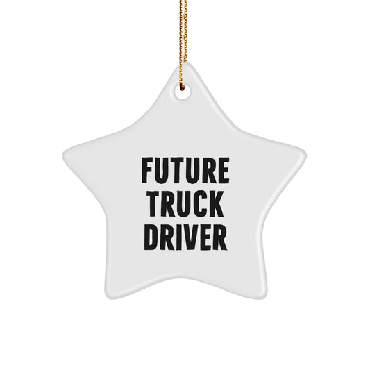 Gifts from Family to Future Truck Driver - Funny Star Ornament for Christmas Unique Gifts - Image 1