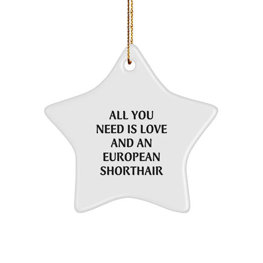 Funny European Shorthair Cat Star Ornament, Gifts from Men to Friends and Family for European Shorthair Cat Enthusiasts, Christmas Unique Decorations - Image 1