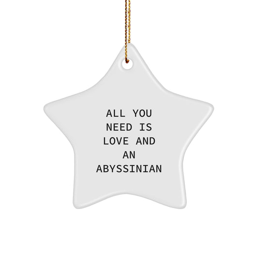Funny Abyssinian Cat Star Ornament Gifts from Friends for Christmas All You Need Is Love And An Abyssinian - Image 1