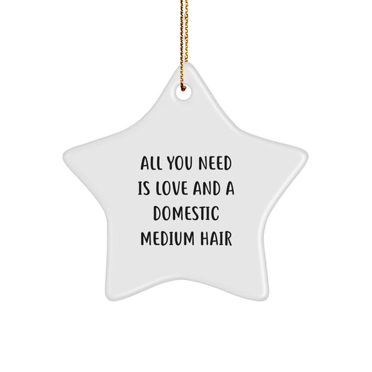 Funny Domestic Medium Hair Star Ornament Gifts from Friends, Unique Christmas Unique Gifts for Domestic Medium Hair, Star Ornament with All You Need Is Love Quote - Image 1