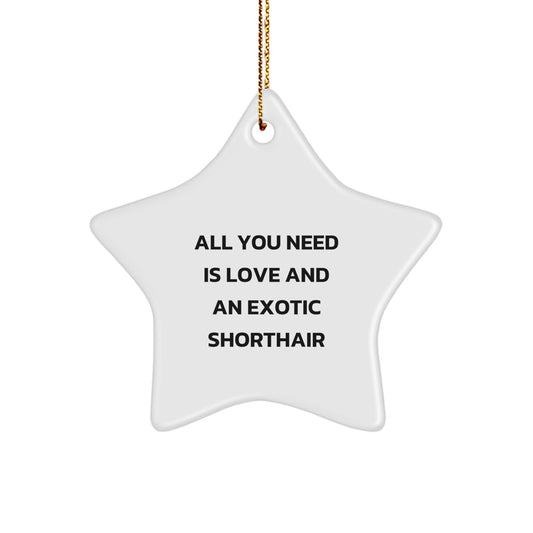 Exotic Shorthair Cat Lover Gifts from Friends for Christmas Unique Star Ornament, Funny Quote 'All You Need Is Love And An Exotic Shorthair' - Image 1