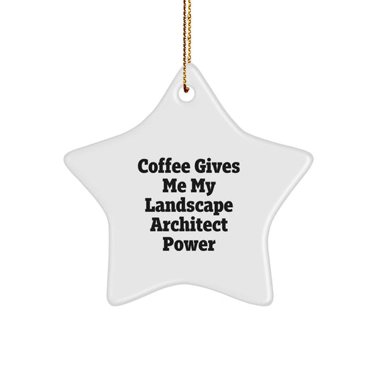 Funny Landscape Architect Star Ornament Gifts from Friends and Family for Christmas Unique - Image 1